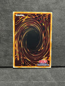 Yu-Gi-Oh! Ocg Duel Monsters (Japanese)