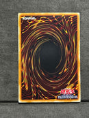 Yu-Gi-Oh! Ocg Duel Monsters (Japanese)
