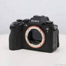 Sony Mirrorless Interchangeable Lips 1 258