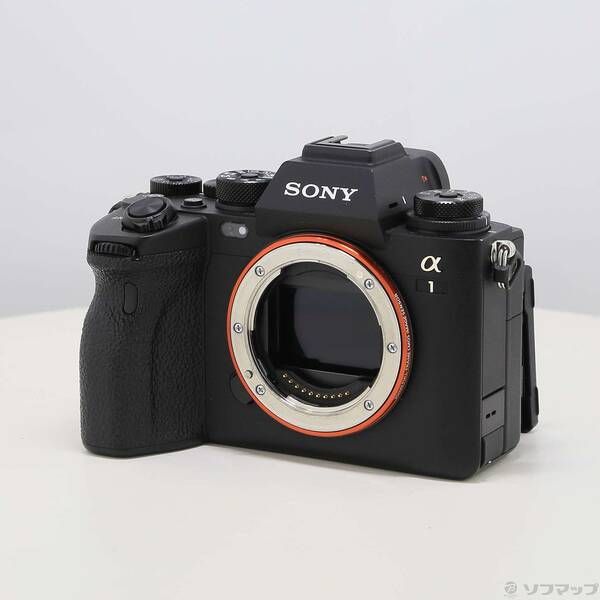Sony Mirrorless Interchangeable Lips 1 258