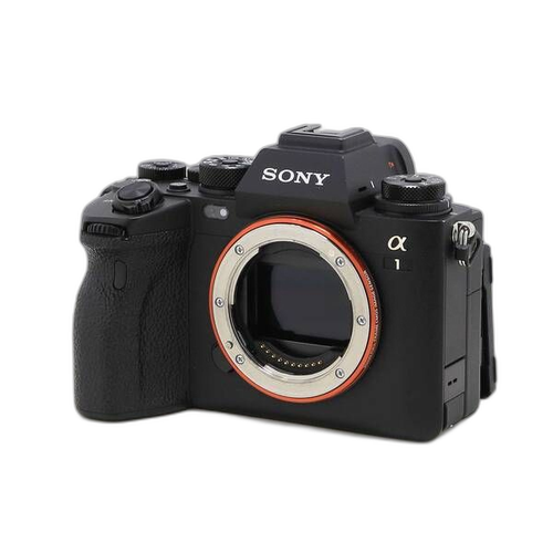 Sony Mirrorless Interchangeable Lips 1 258
