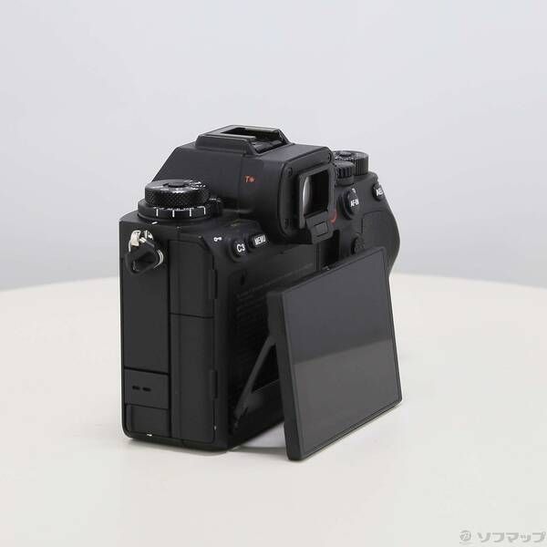 Sony Mirrorless Interchangeable Lips 1 258