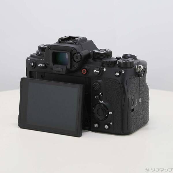 Sony Mirrorless Interchangeable Lips 1 258