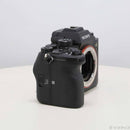 Sony Mirrorless Interchangeable Lips 1 258