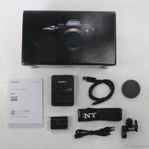Sony Mirrorless Interchangeable Lips 1 258