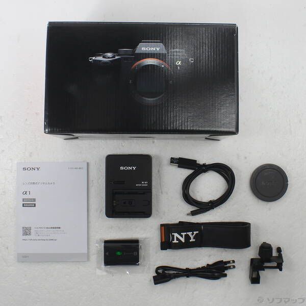 Sony Mirrorless Interchangeable Lips 1 258