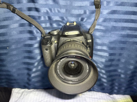 Canon Digital Slr Eos Ef-S 18-55Mm