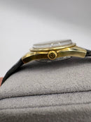 Omega Automatic Watches Seamaster