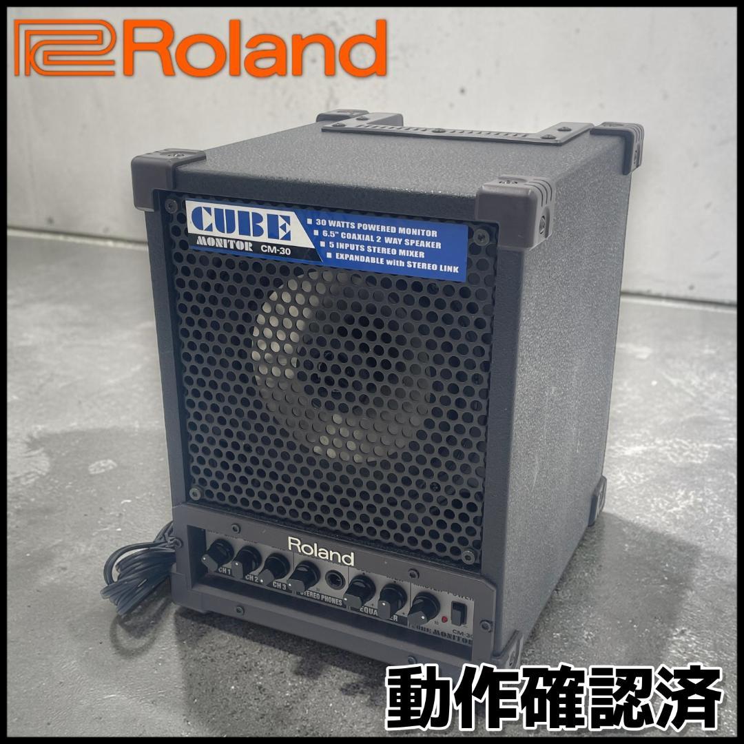 Roland Guitar Amplifiers Cube Monitor Cm-30