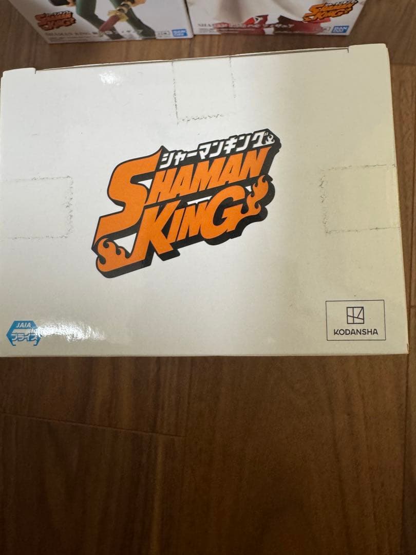 Other Shaman King 5