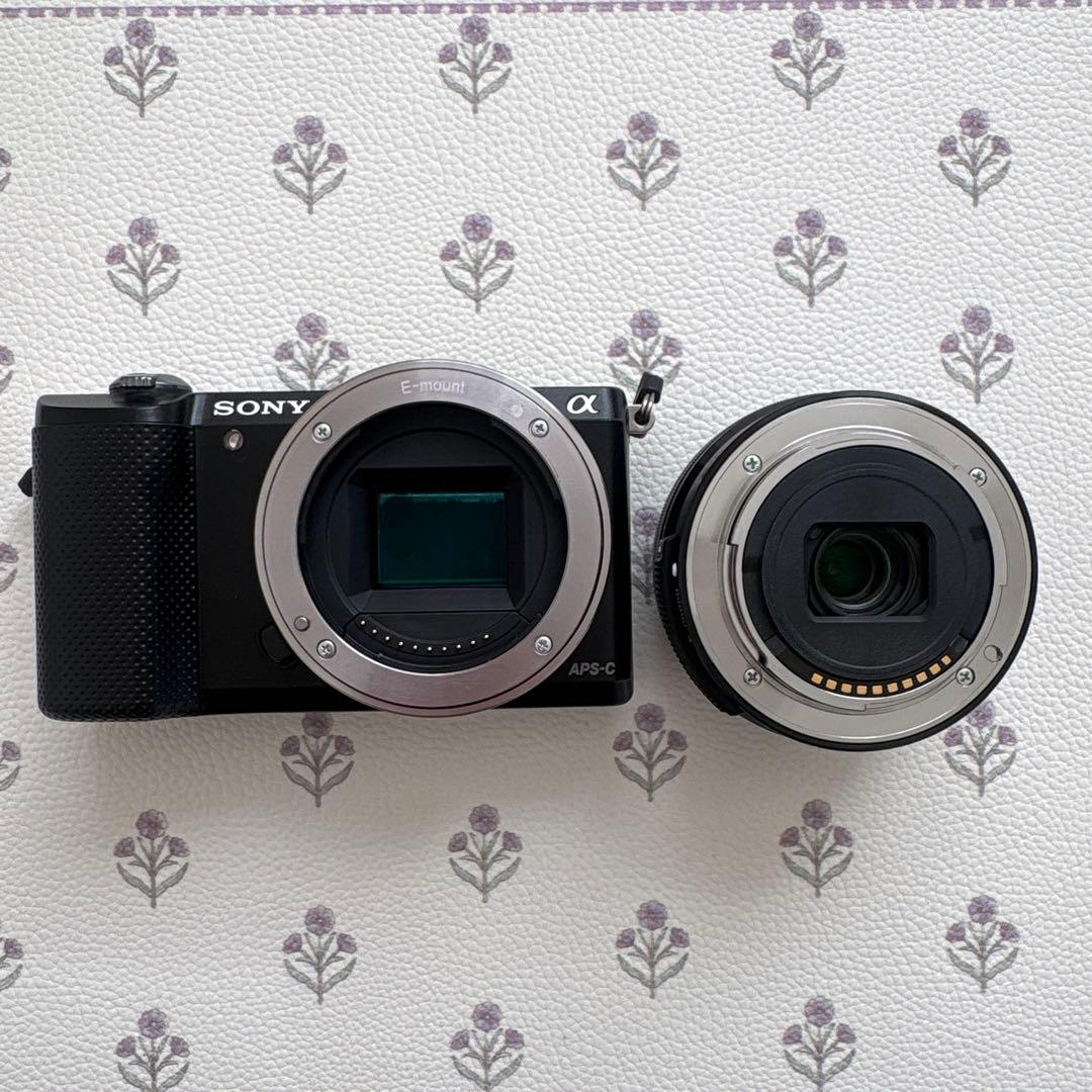 Sony Mirrorless Interchangeable Lens Cameras 5000