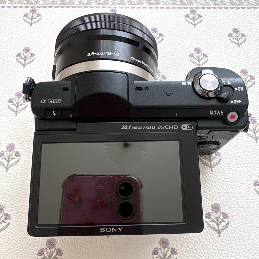 Sony Mirrorless Interchangeable Lens Cameras 5000