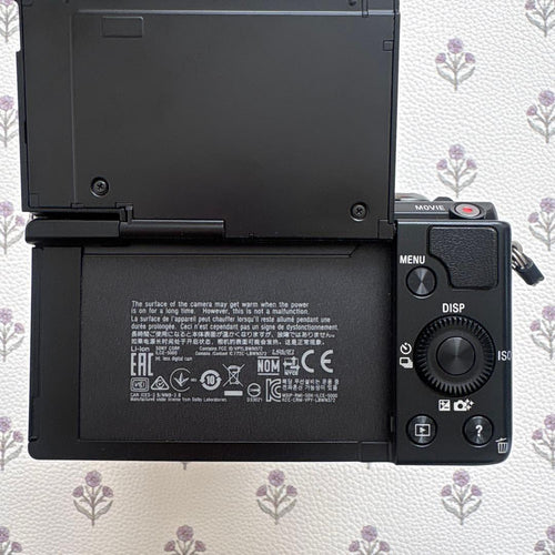 Sony Mirrorless Interchangeable Lens Cameras 5000