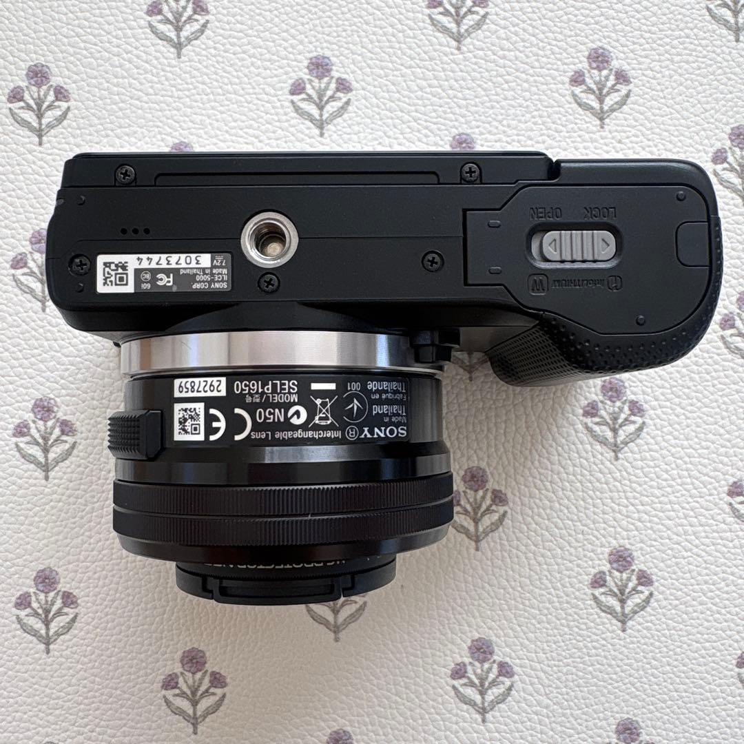 Sony Mirrorless Interchangeable Lens Cameras 5000