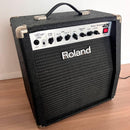 Roland Guitar Amplifiers Gc-405
