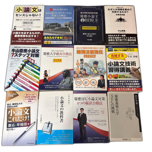 Language Dictionary Learning Reference Book Sfc