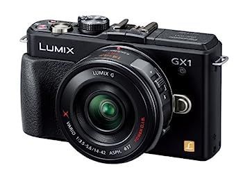 Digital Slr Gx1 Dmc-Gx1X-K