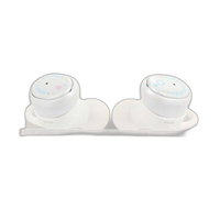 Onkyo Wireless Earphone Cp-Tws01A Iroha 348