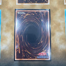 Yu-Gi-Oh! Ocg Duel Monsters (Japanese)