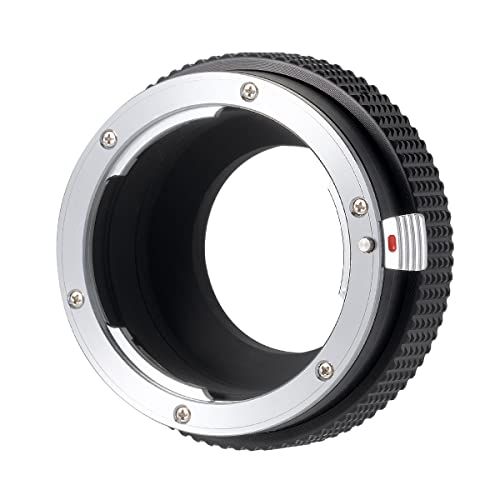Others Shoten R Sl.L Lr-Lsl-A 1F512115