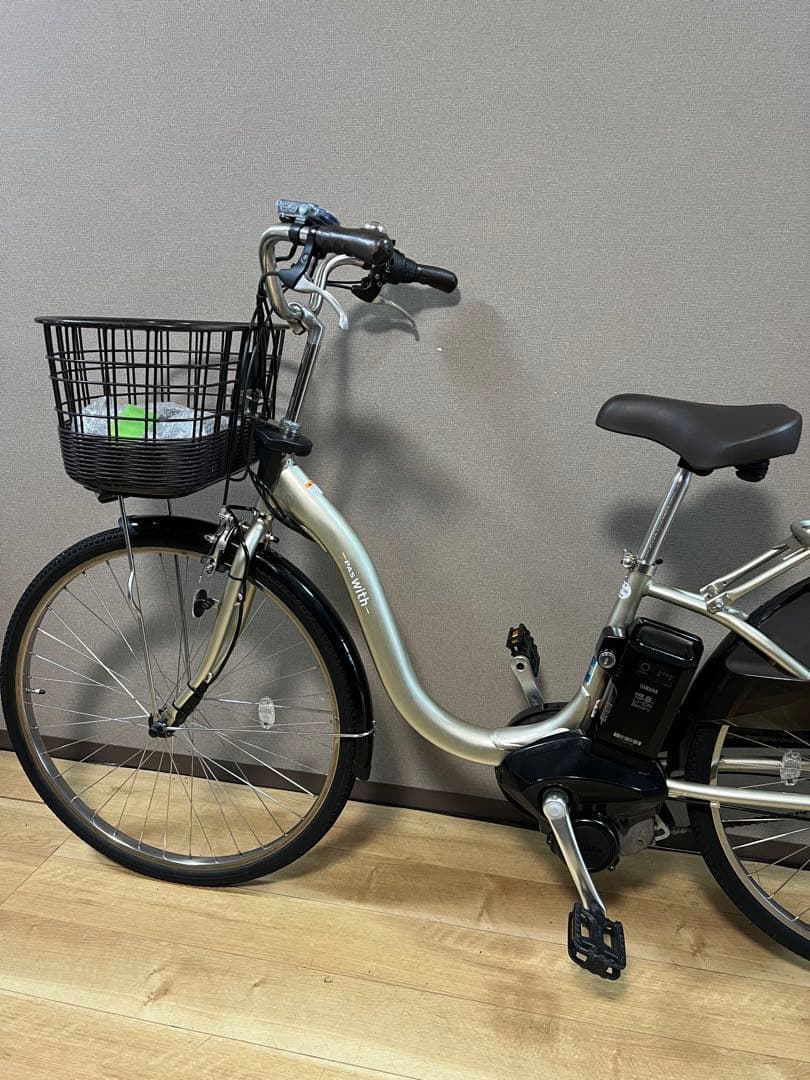 City-Style Bicycles Pas With 2025 15.8Ah