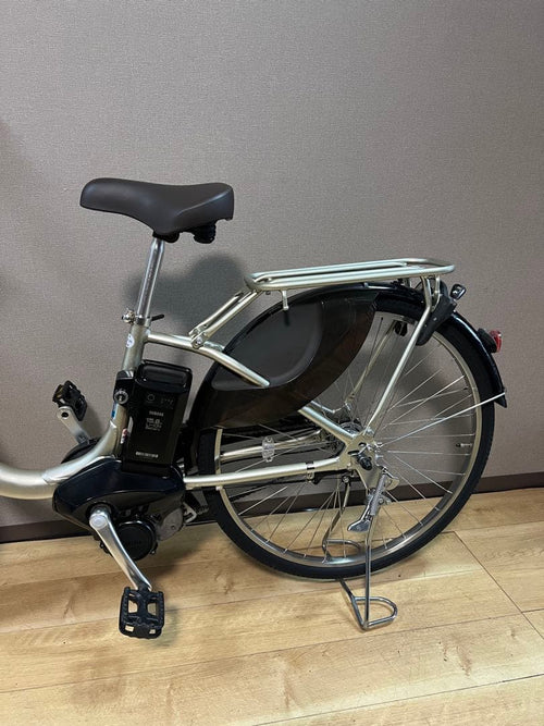 City-Style Bicycles Pas With 2025 15.8Ah
