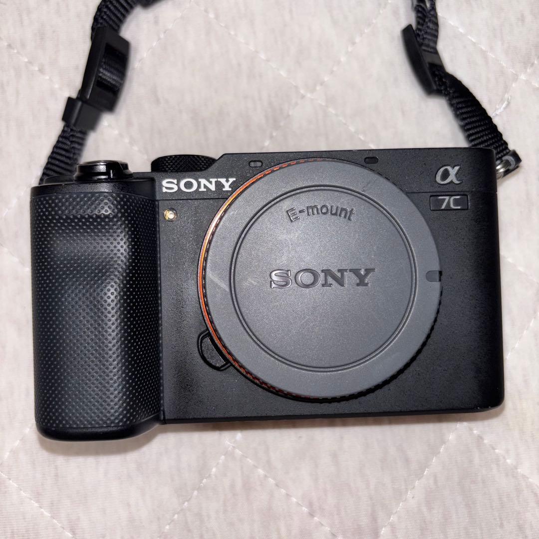 Sony Mirrorless Interchangeable Lens Cameras 7C