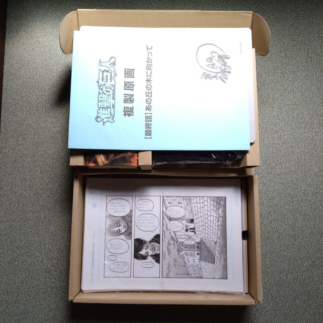 Illustration Collections Fly