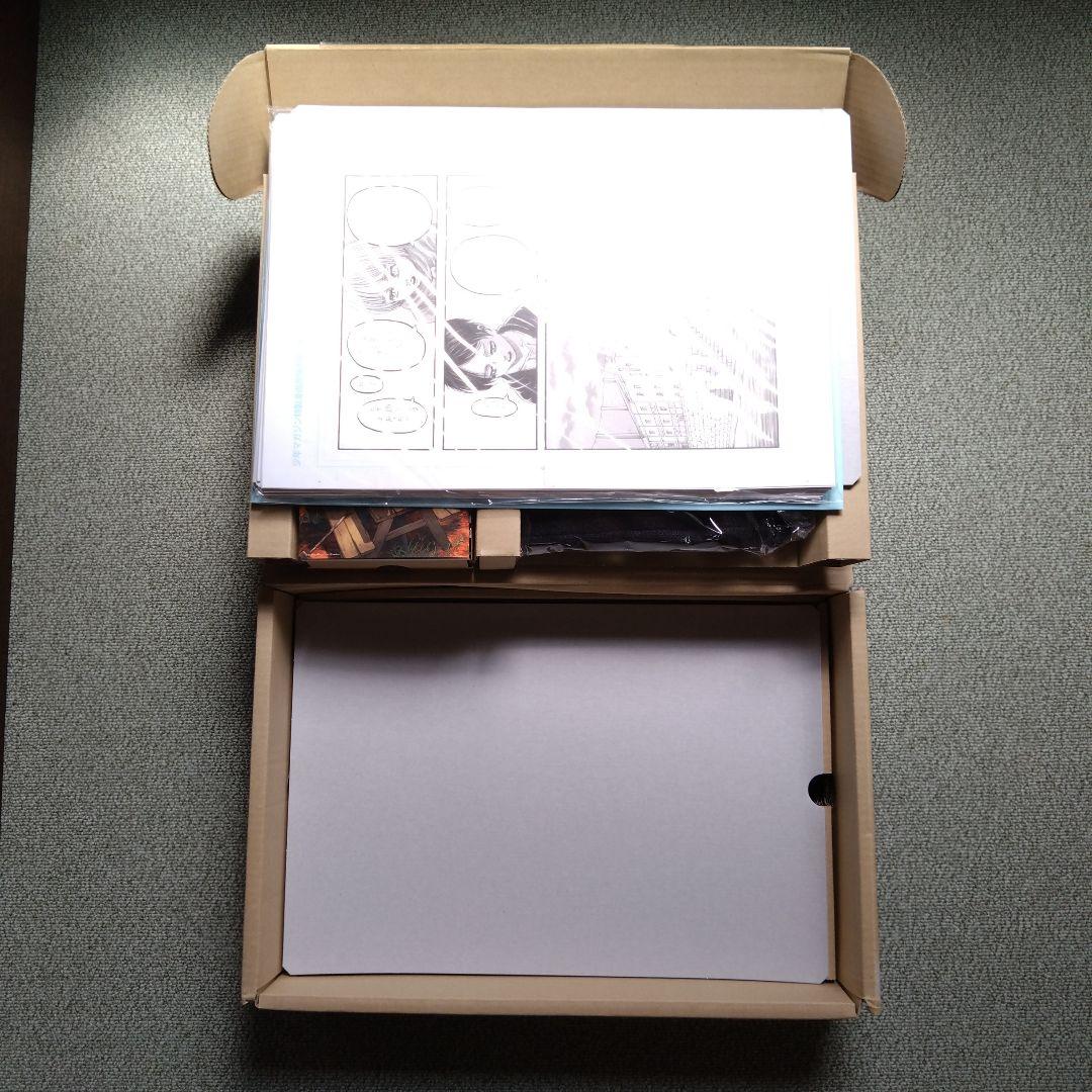 Illustration Collections Fly
