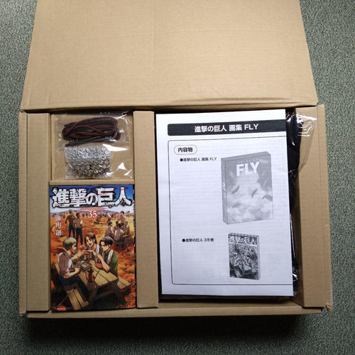 Illustration Collections Fly