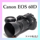 Canon Digital Slrs Eos 60D Ok