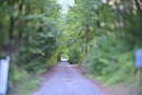 Artisan Lens (Single Focus) Tilt Z