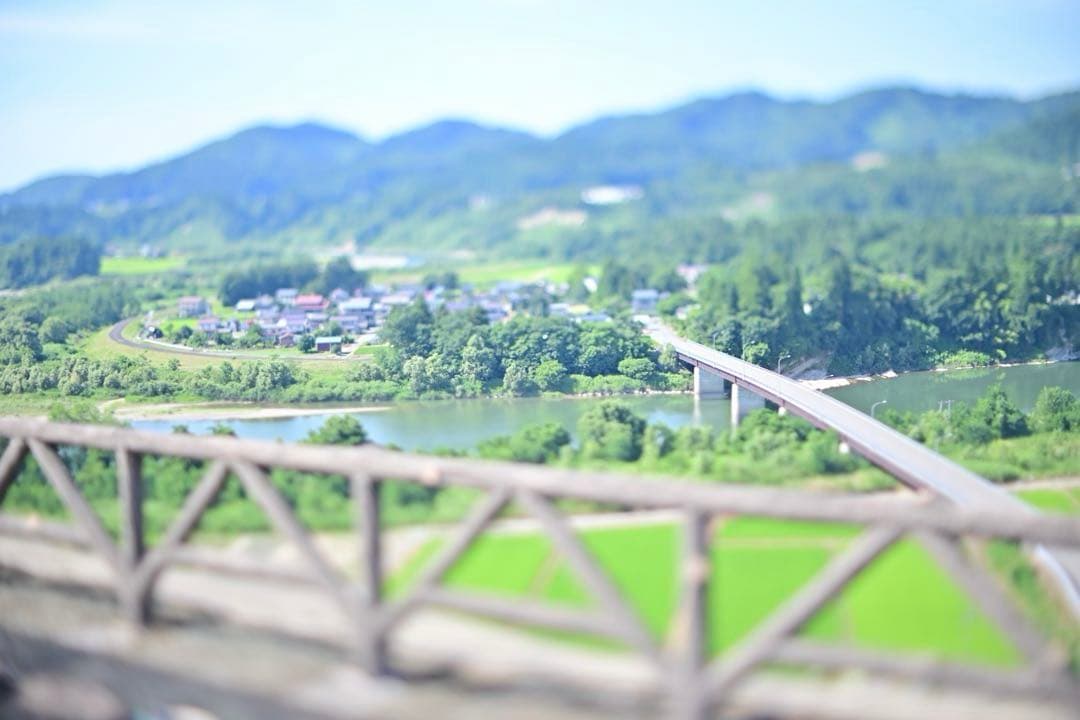 Artisan Lens (Single Focus) Tilt Z