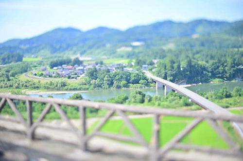 Artisan Lens (Single Focus) Tilt Z