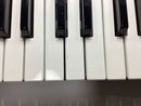 Roland Others D-10 1988