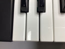 Roland Others D-10 1988