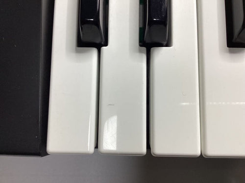 Roland Others D-10 1988