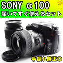 Sony Digital Slrs 100