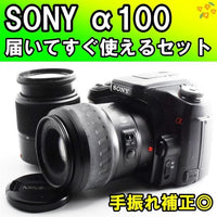 Sony Digital Slrs 100