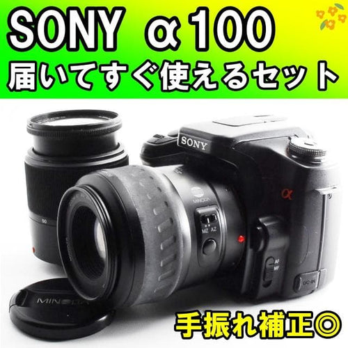 Sony Digital Slrs 100