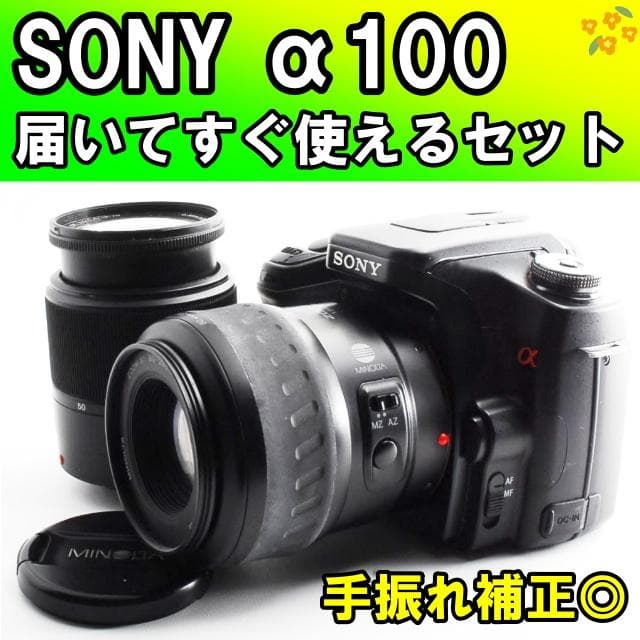 Sony Digital Slrs 100