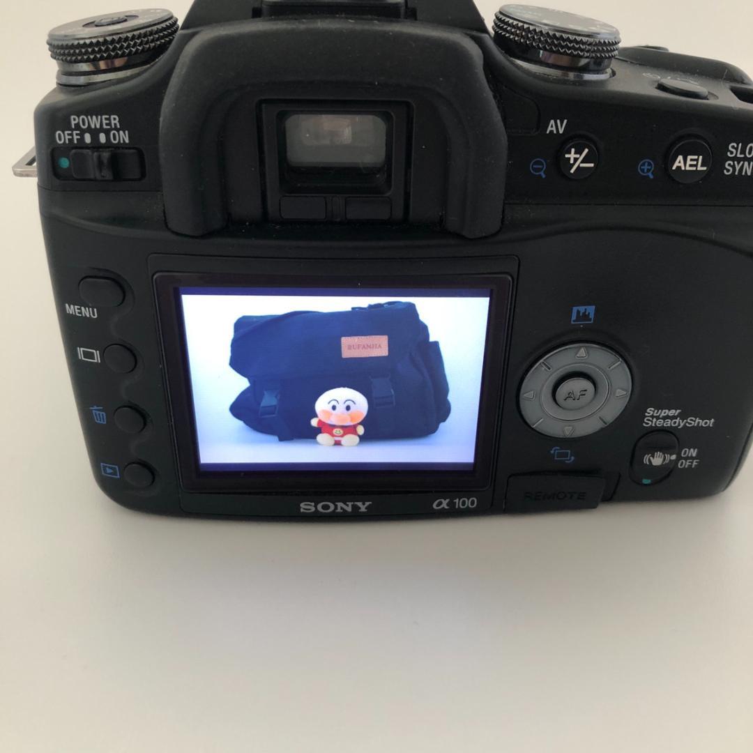 Sony Digital Slrs 100