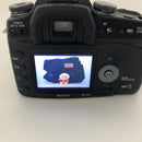 Sony Digital Slrs 100