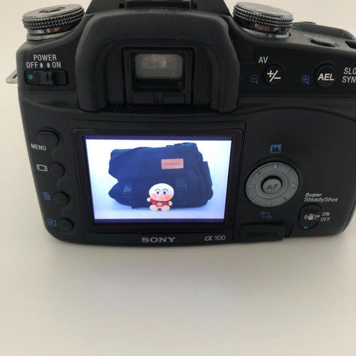 Sony Digital Slrs 100