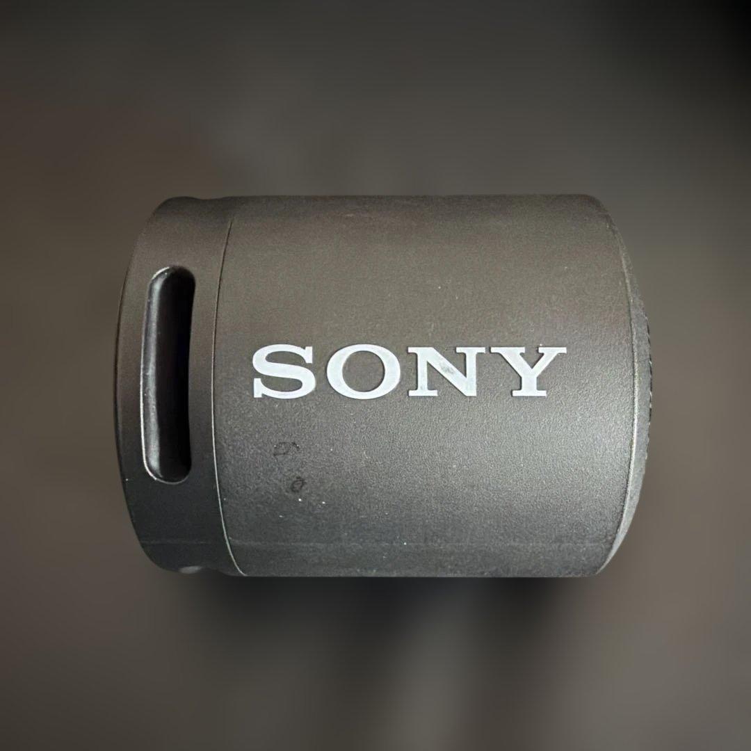 Sony Wireless Speakers Srs-Xb13
