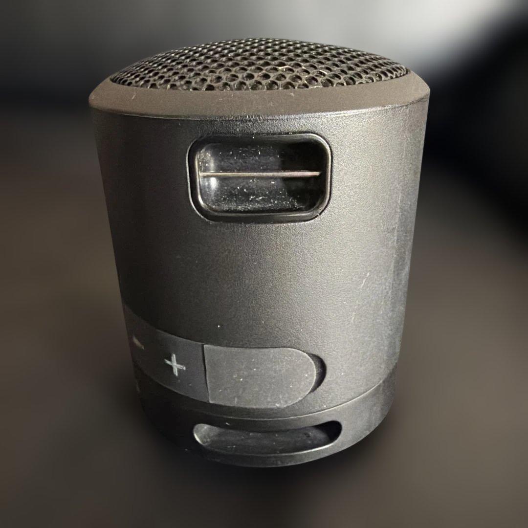 Sony Wireless Speakers Srs-Xb13