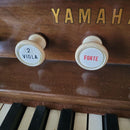 Yamaha Electronic Organs 7