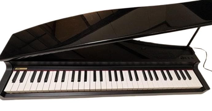 Korg Keyboards Digital Pianos Y 61 S