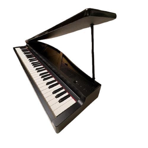 Korg Keyboards Digital Pianos Y 61 S