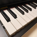 Korg Keyboards Digital Pianos Y 61 S
